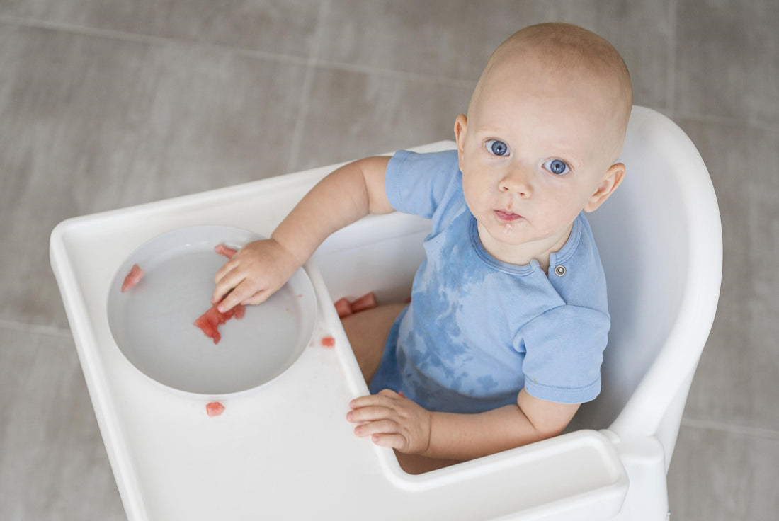 Best High Chairs of 2025