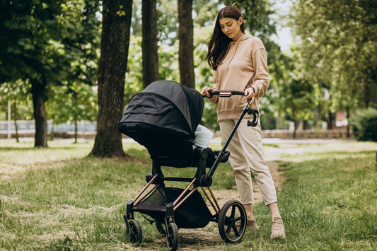 Top Strollers to Consider in 2025