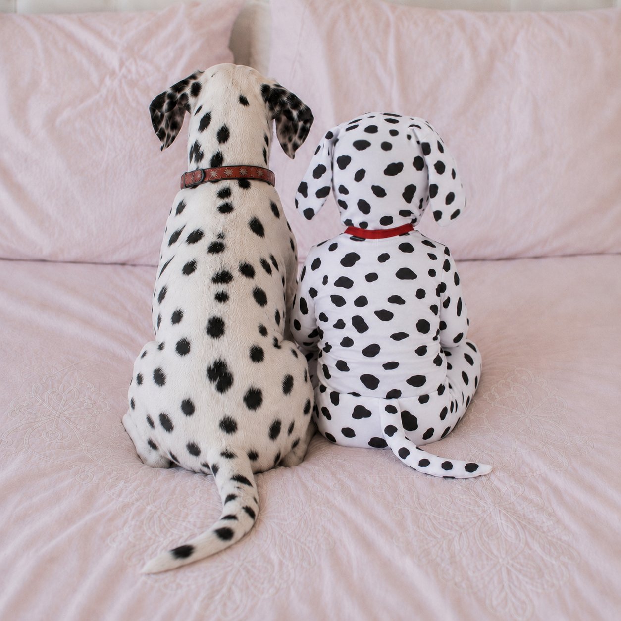 Dalmatian Puppy Costume