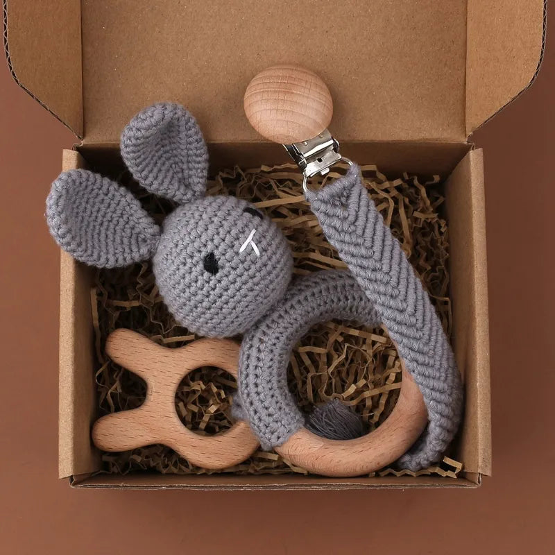 Pacifier Clip Teether Toy Set