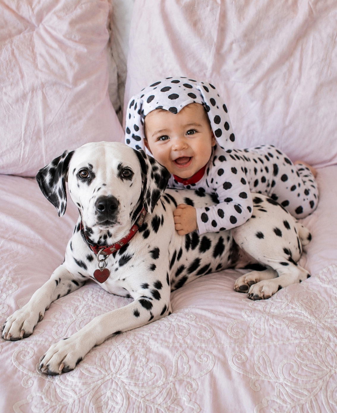 Dalmatian Puppy Costume