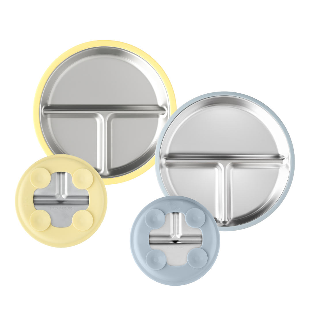 Stainless Steel Plate Set of 2 (Mocha Mousse & Sage Green)