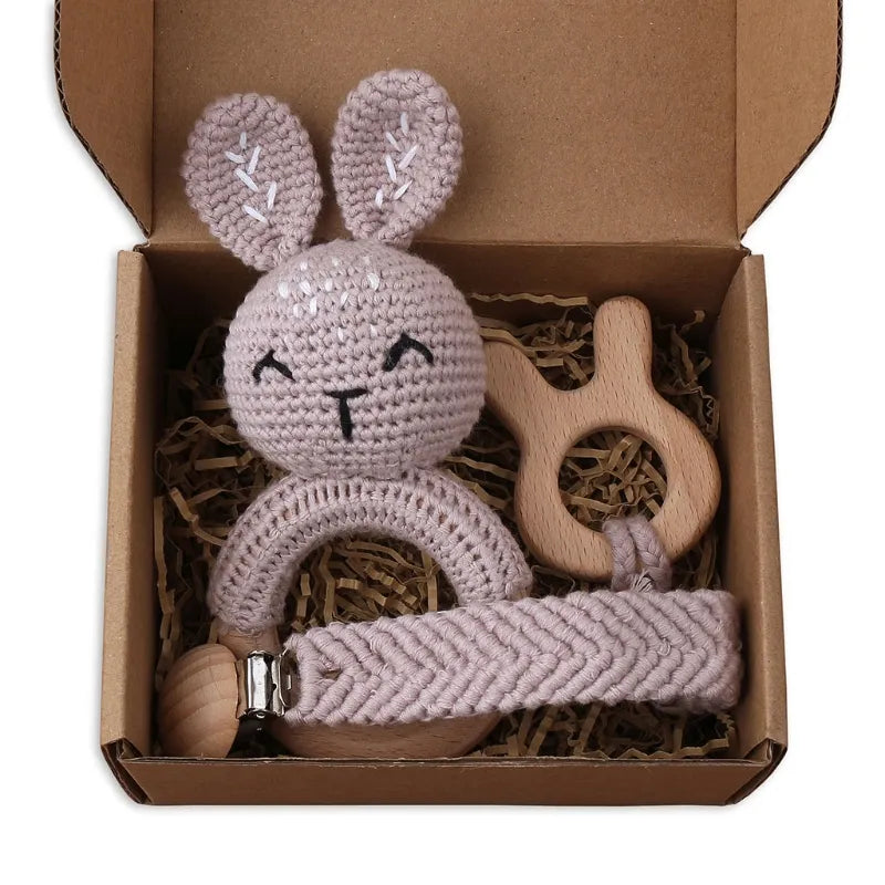 Pacifier Clip Teether Toy Set
