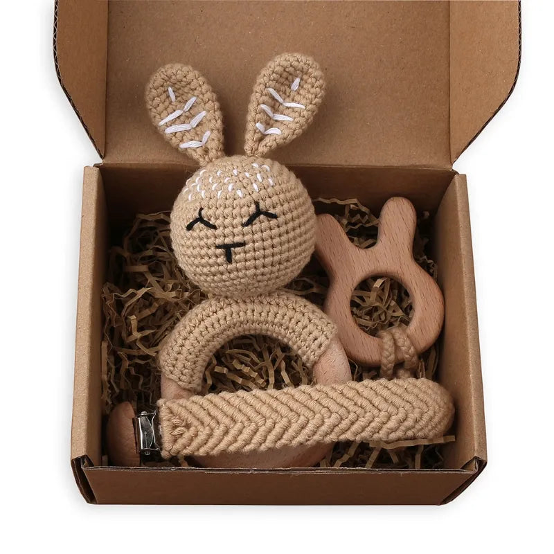 Pacifier Clip Teether Toy Set
