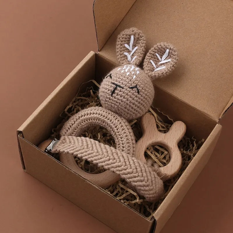 Pacifier Clip Teether Toy Set