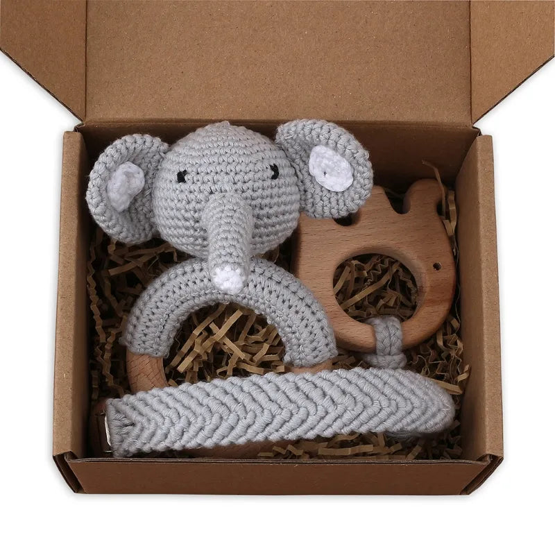 Pacifier Clip Teether Toy Set
