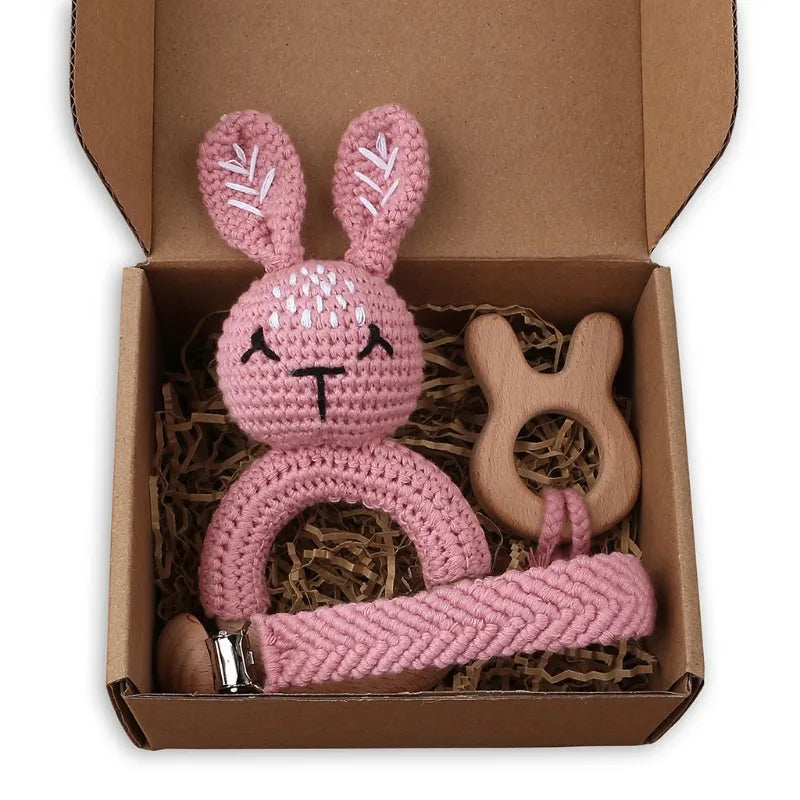 Pacifier Clip Teether Toy Set
