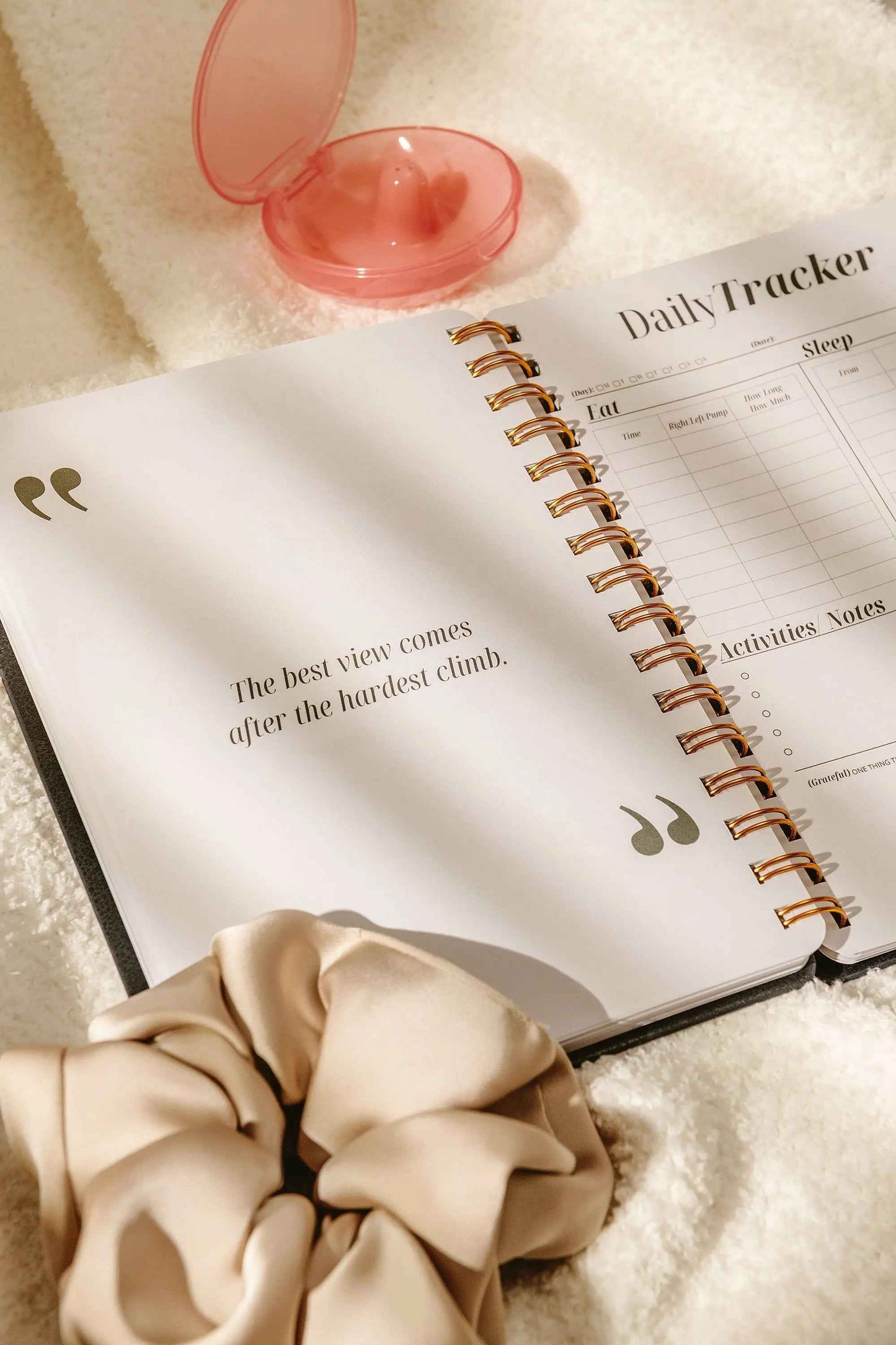 Nipple Shield Case