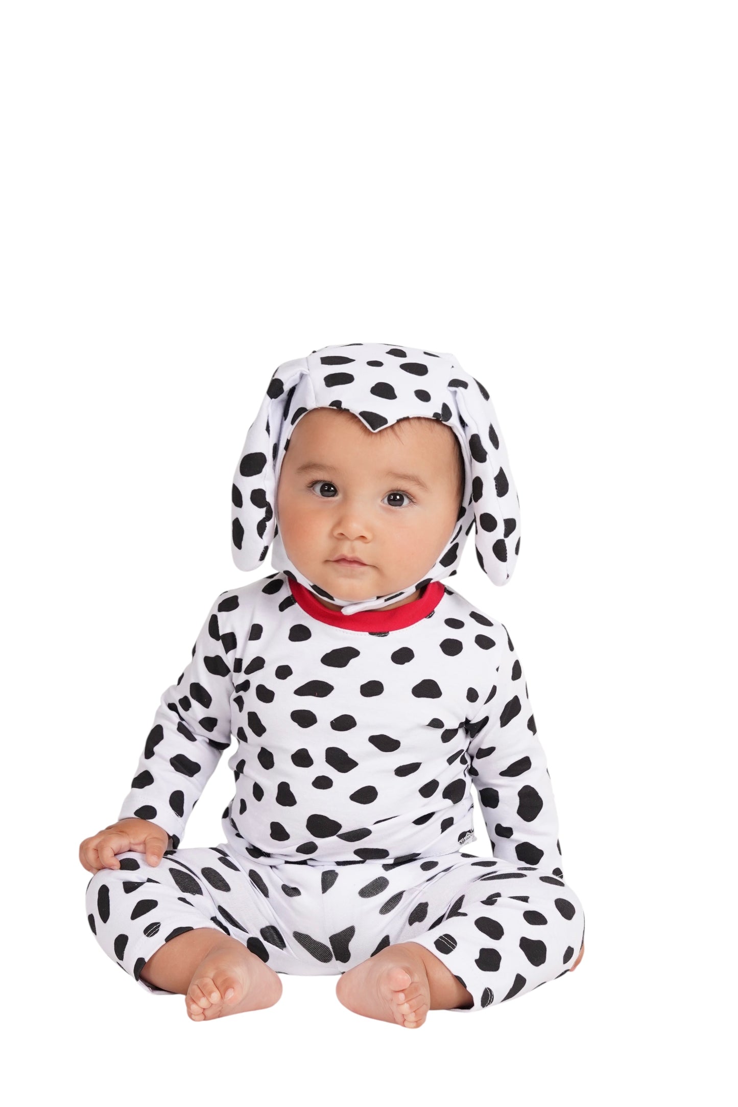 Dalmatian Puppy Costume