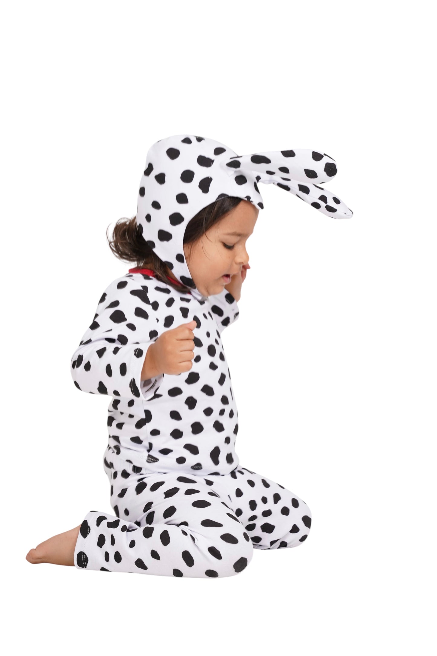 Dalmatian Puppy Costume