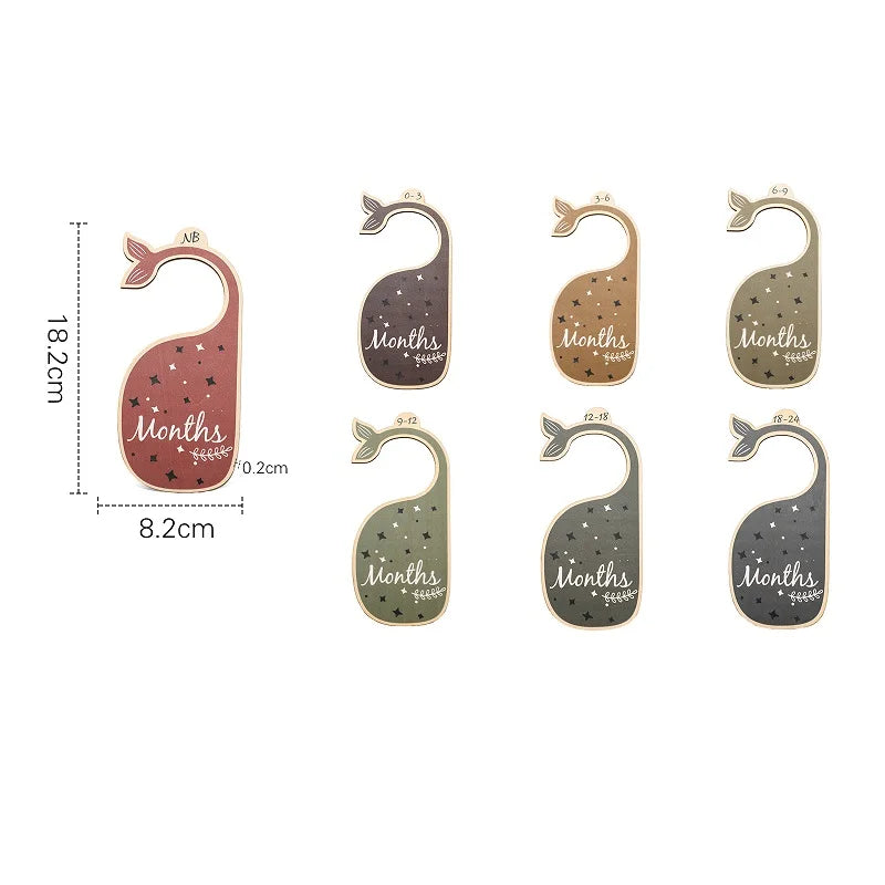7Pcs Acrylic Closet Dividers