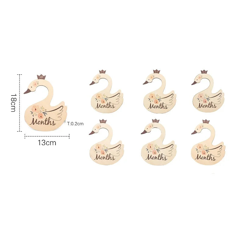 7Pcs Acrylic Closet Dividers
