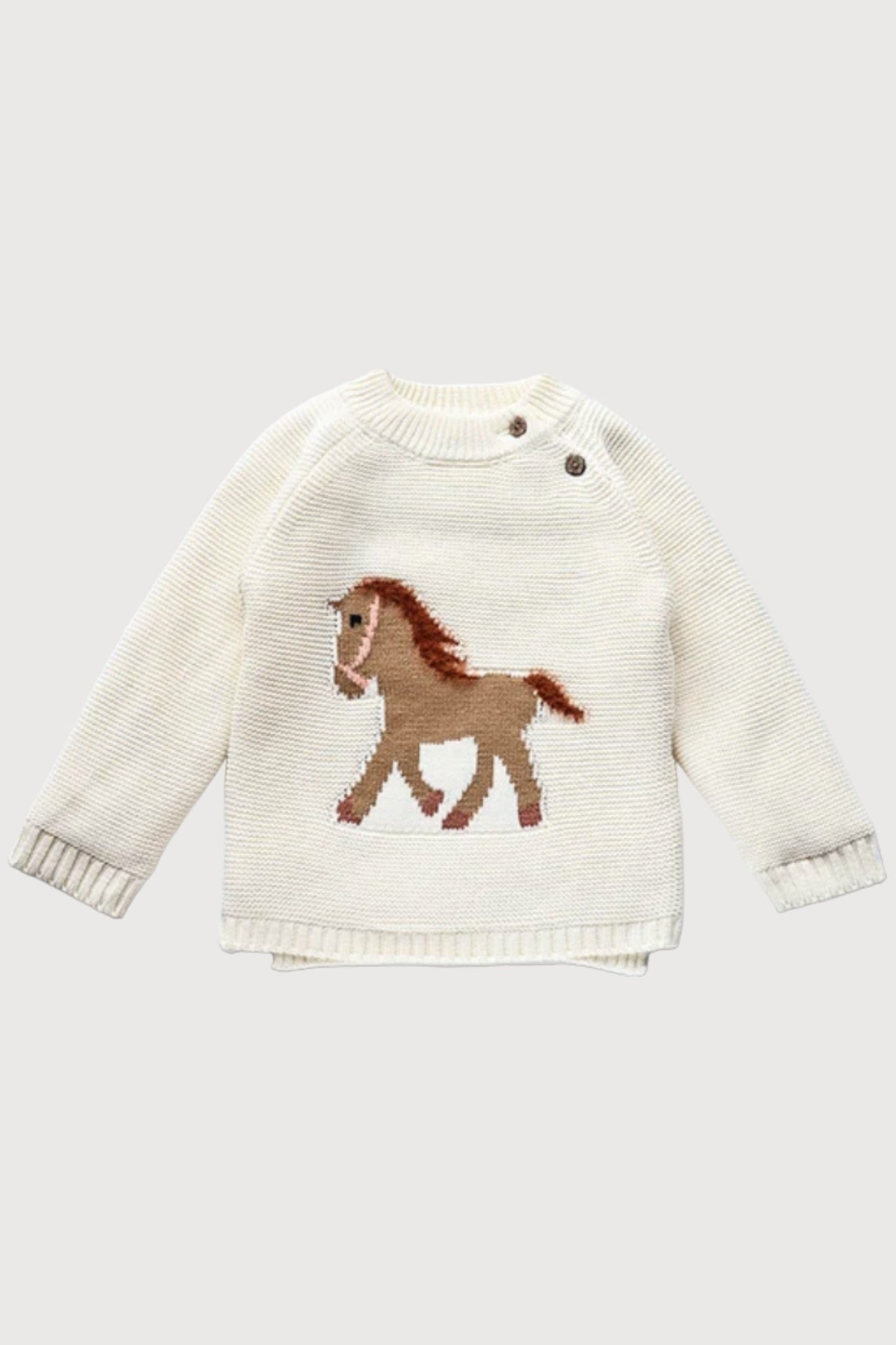Fur Lining Embroidery Pony Sweater