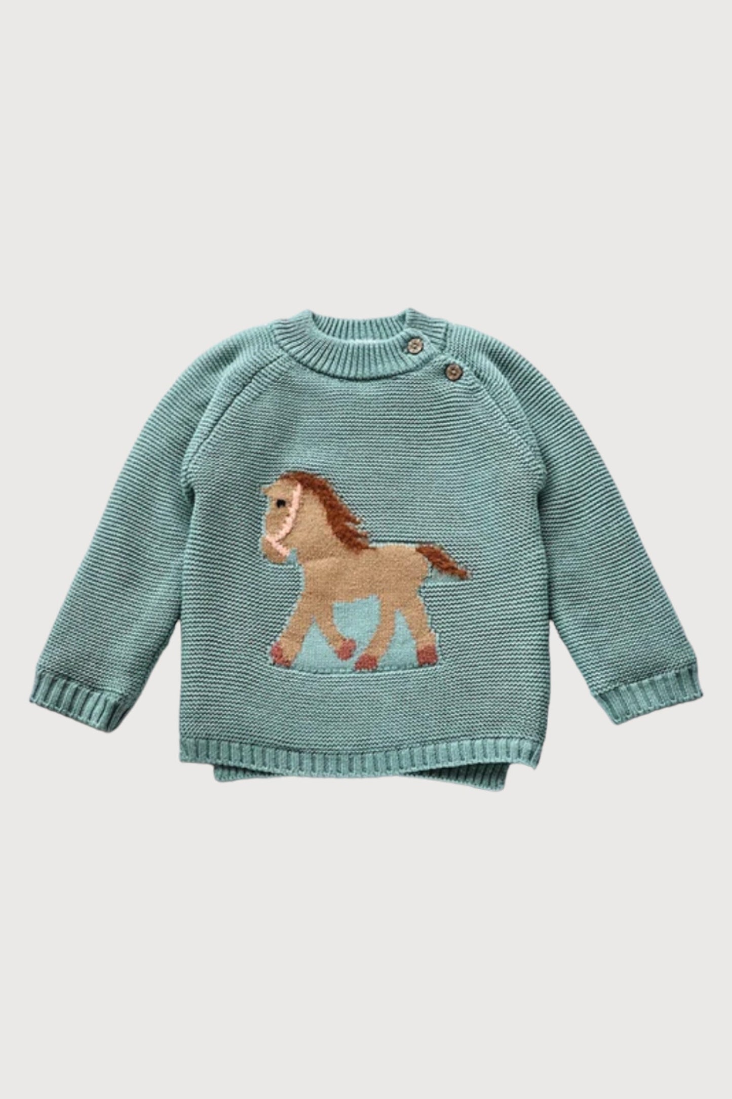 Fur Lining Embroidery Pony Sweater